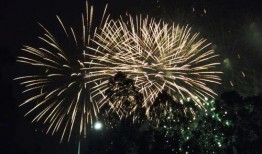 厦门烟花爆料视频,现场实况视频曝光